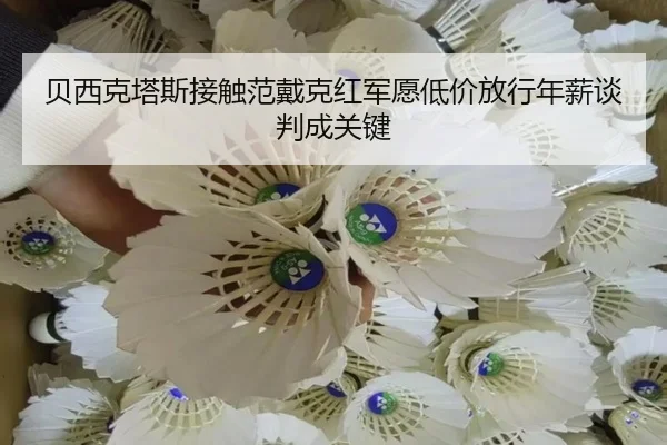 贝西克塔斯接触范戴克红军愿低价放行年薪谈判成关键